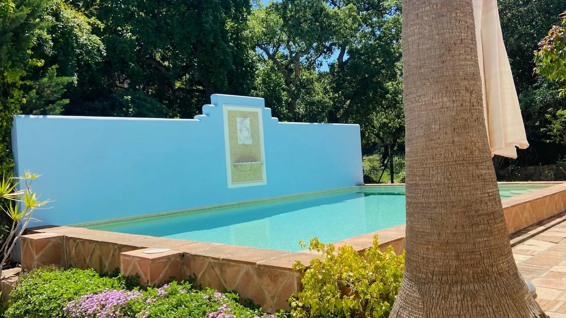 Luxury Villas In Sotogrande Costa Andalucia San Roque  Spain